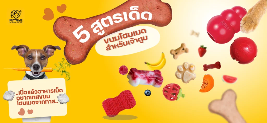 dog_treat_homemade